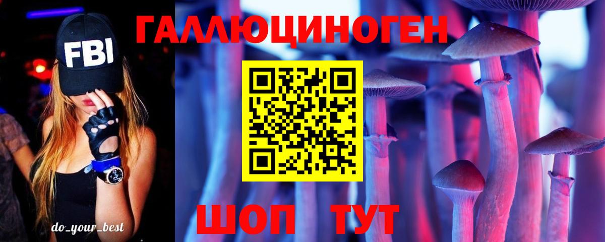 Галлюциногенные грибы Psilocybine cubensis Белебей
